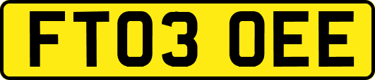 FT03OEE