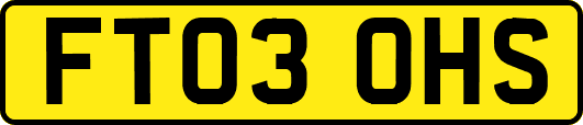 FT03OHS