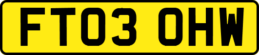 FT03OHW