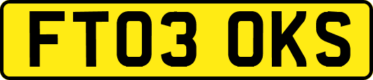 FT03OKS