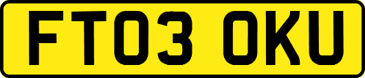 FT03OKU