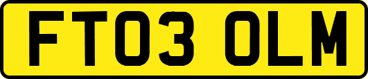 FT03OLM
