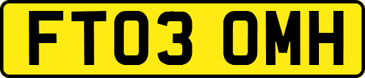 FT03OMH