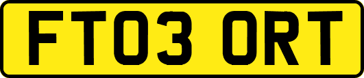 FT03ORT