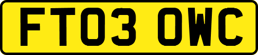 FT03OWC