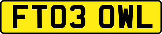 FT03OWL