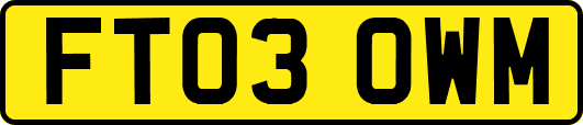 FT03OWM
