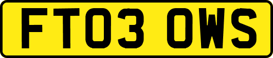 FT03OWS