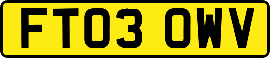FT03OWV