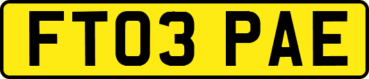 FT03PAE