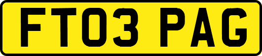 FT03PAG