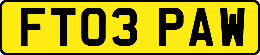 FT03PAW