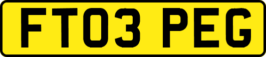 FT03PEG