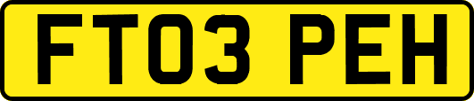 FT03PEH