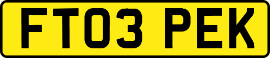 FT03PEK