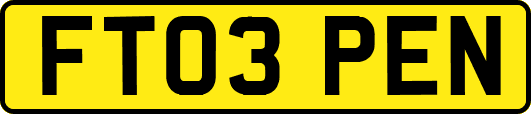 FT03PEN