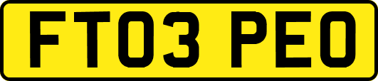 FT03PEO