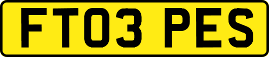 FT03PES