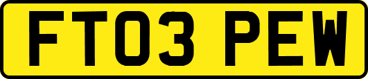 FT03PEW