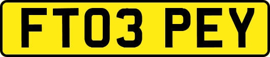 FT03PEY