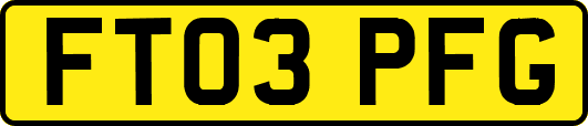 FT03PFG