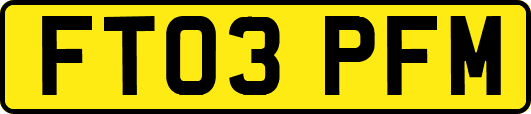 FT03PFM