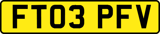 FT03PFV