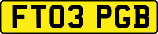 FT03PGB