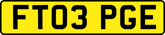 FT03PGE
