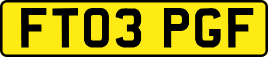 FT03PGF
