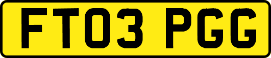 FT03PGG