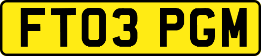 FT03PGM
