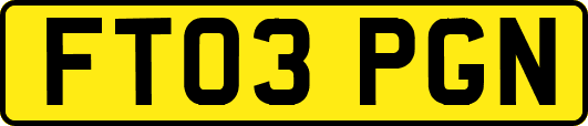 FT03PGN