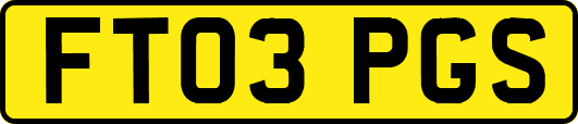 FT03PGS