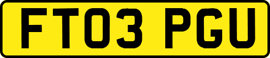 FT03PGU