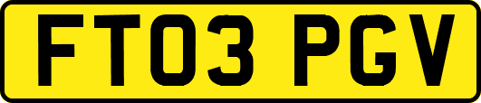 FT03PGV