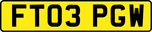 FT03PGW