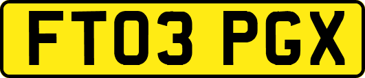 FT03PGX