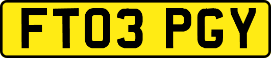 FT03PGY