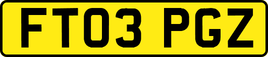 FT03PGZ