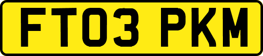 FT03PKM