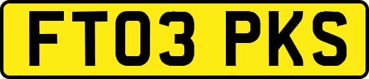FT03PKS