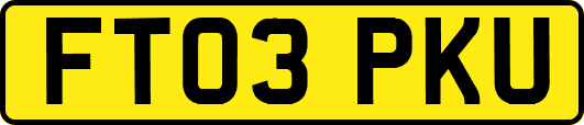 FT03PKU