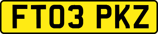 FT03PKZ
