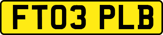 FT03PLB