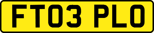 FT03PLO