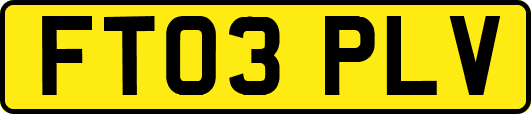 FT03PLV