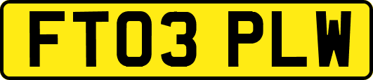 FT03PLW