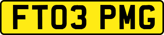FT03PMG