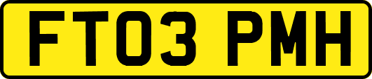 FT03PMH